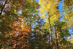 Communal du Locle, le 18 octobre 2025