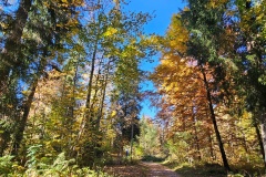 Communal du Locle, le 18 octobre 2025