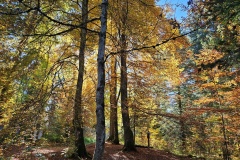 Communal du Locle, le 18 octobre 2025
