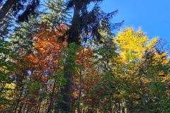 Communal du Locle, le 18 octobre 2025
