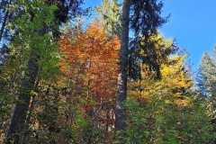 Communal du Locle, le 18 octobre 2025