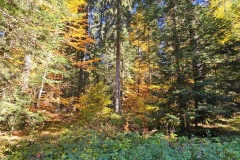 Communal du Locle, le 18 octobre 2025