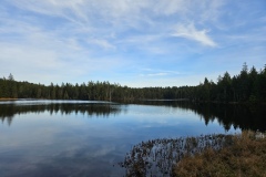 Etang de la Gruère (JU), le 13 novembre 2025