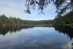 Etang de la Gruère (JU), le 13 novembre 2025