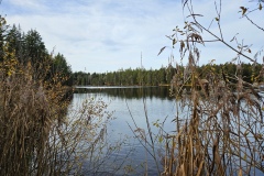 Etang de la Gruère (JU), le 13 novembre 2025
