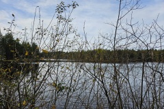 Etang de la Gruère (JU), le 13 novembre 2025