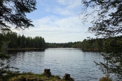 Etang de la Gruère (JU), le 13 novembre 2025