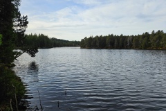 Etang de la Gruère (JU), le 13 novembre 2025