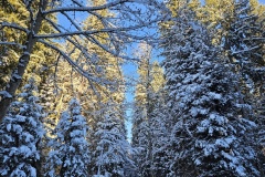 Communal du Locle, le 22 novembre 2025