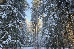 Communal du Locle, le 22 novembre 2025