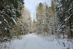 Communal du Locle, le 23 novembre 2025