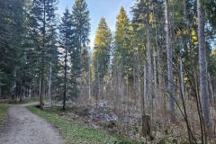 Communal du Locle, le 26 décembre 2025