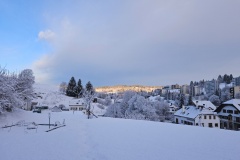 Le Locle, le 24 janvier 2026