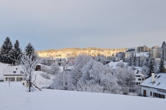 Le Locle, le 24 janvier 2026