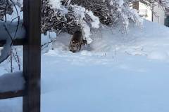 Le Locle, le 29 janvier 2026