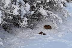 Le Locle, le 29 janvier 2026