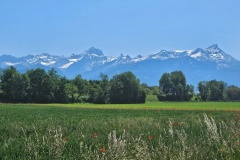 Illarsaz (VS), le 24 mai 2026