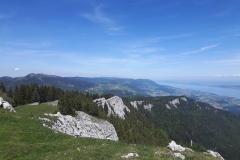 Les Aiguilles de Baulmes (VD), le 01 juin 2019