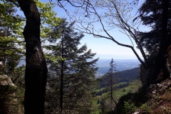 Les Aiguilles de Baulmes (VD), le 01 juin 2019
