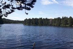 Etang de la Gruère (JU), le 05 août 2019