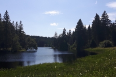 Etang de la Gruère (JU), le 05 août 2019