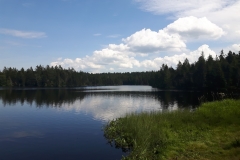 Etang de la Gruère (JU), le 05 août 2019