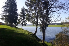 Lac des Taillères (NE), le 14 octobre 2019