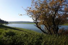 Lac des Taillères (NE), le 14 octobre 2019